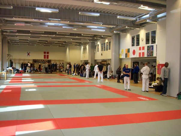 DM i BJJ 2013